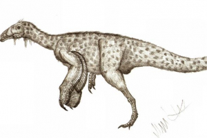 Jianchanzavr